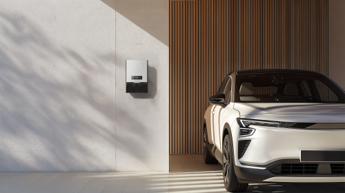 EcoFlow PowerPulse 2